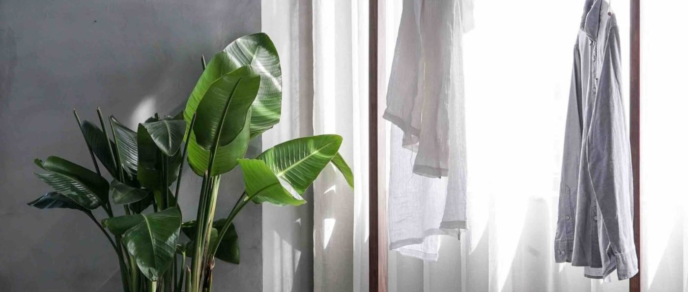 Editor’s Picks: We’re Filling Our Closets With Pieces From These Sustainable Brands