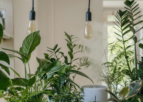 The Interior Design Trends to Look Out for This Season